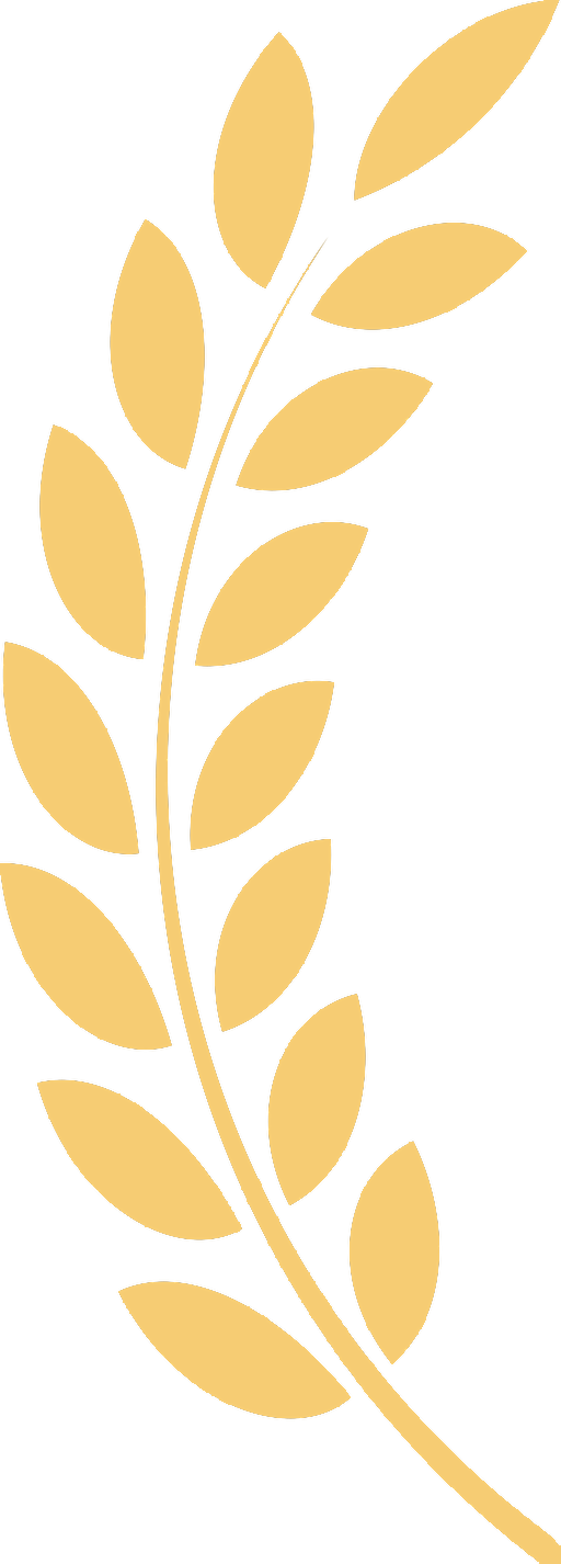 左桂冠荣誉奖项图标金色 麦子