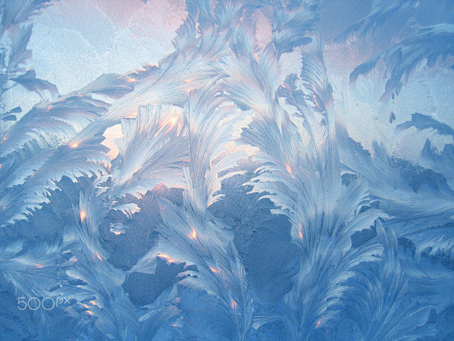 Ice Patterns - 照片来源：...
