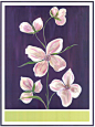 HJ0018B