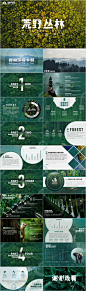 绿色大气简约森林环保PPT模板
