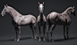 Equine ecorche - 3dscan store, Gael Kerchenbaum : Hi everyone,

I'm really proud and happy to share this equine / clydesdale ecorche I made for 3dscanstore. 
The model is now available for everyone to purchase on their website: https://www.3dscanstore.com
