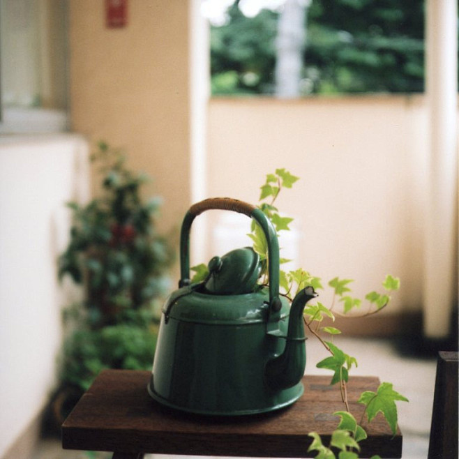 胶片 Fuji Pro 400H 胶片机...