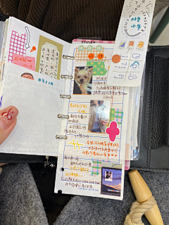 bingpohuage采集到手账20241012