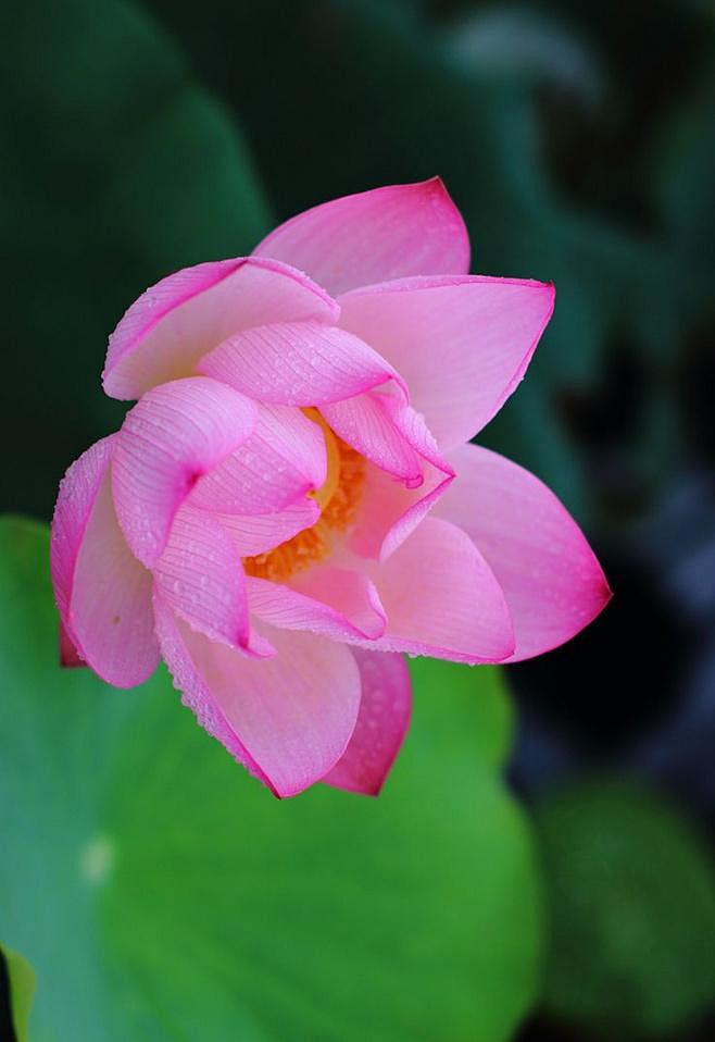 Beautiful! - 你我觅 - n...