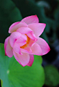 Beautiful! - 你我觅 - niwomi.com