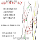 #绘画教程#  腿脚的画法 ​​​​