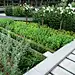 Sweco architects | 瑞士巴塞尔，药用植物园 - docin.com豆丁网