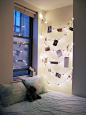 Use them with clothespins to hang photographs.