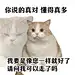《适合发给领导的表情包!!》 - 小红书