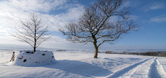 Sunny太平洋采集到雪地风景