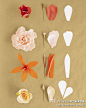 美丽的花朵折纸，几片普通的小纸张，也能开出美丽的花朵