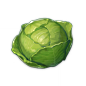 Cabbage : Cabbages are a Cooking Ingredient item used in recipes to create Food items. Cabbages can be dropped by destructible crates, barrels and pots or by Investigation points found all over Teyvat. Additionally, the Unusual Hilichurl drops 1 to 3 Cabb