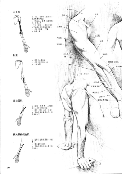 企鹅崽采集到绘画教学