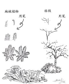 一起永远采集到绘画步骤【插画】