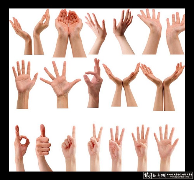 各种手势素材,手的姿势 张开手的动作,双.