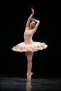Simply Lovely Ballerina