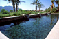 加州池 - 热带风光 - 游泳池 - 洛杉矶 - 加州池