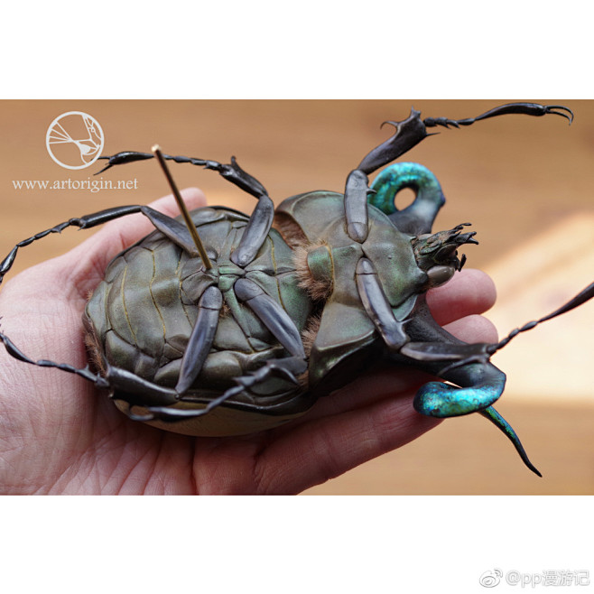 起源 Origin旋角犀金龟 Kudu ...