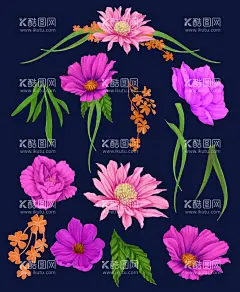 水彩花卉  - 源文件下载【酷图网】花卉,花卉素材,素材花,叶子,复古花卉,玫瑰花,郁金香,百合花,水彩花,花朵,花,手绘花,水果,枫叶,水彩花卉,水彩叶子,素材,高清花