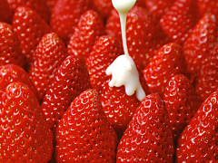 小连翘采集到小 草 莓