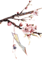 桃花树矢量图