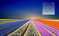 2014年9月台历桌面 即将到来的14年9月日历壁纸下载壁纸图4