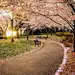花花叶叶，翠翠红红，惟司香尉着意扶持，不教雨雨风风，清清冷冷；蝶鹣情深，生生世世，愿有情人终成眷属，长此朝朝暮暮，喜喜欢欢。