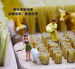 zbl110采集到微景观