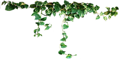 Lluren采集到Spring