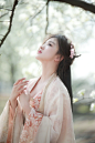 春天的另一个顶流梨花 - 小红书