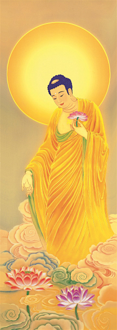 ♥⺌青桔柠檬采集到国画图片