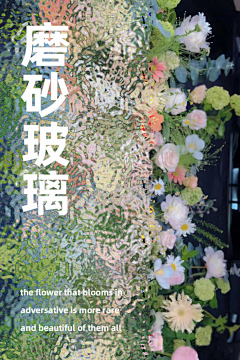 Shannen3采集到海报