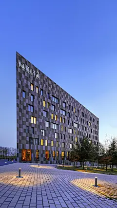 @大圣中的战斗菊#唯美背景#唯美壁纸#壁纸#手机壁纸#美景