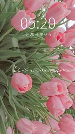 春季花系列唯美手机壁纸