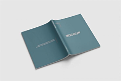 云汇素材官方采集到样机Mockups