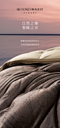 福通四海·大朵净白鹅绒冬被_海报-02