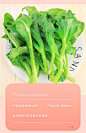 新鲜冰草当季冰菜蔬菜5斤非洲花冰叶火锅即食生吃沙拉菜凉拌包邮3-tmall.com天猫