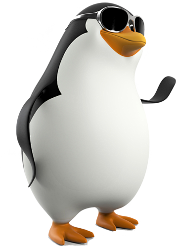 马达加斯加企鹅图片企鹅