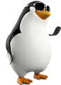 马达加斯加企鹅图片企鹅