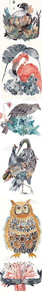519 水彩插画 欧美 小清新植物 动物手绘 装饰风格绘画参考素材-淘宝网