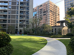 xiaopeng1011采集到A-景观