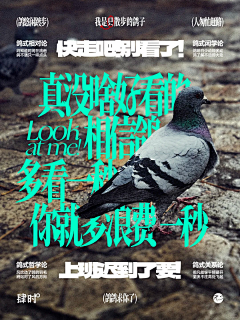 你猜田琑是谁采集到就是一些平面视觉~
