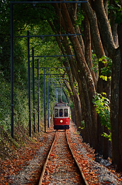 newben采集到500PX