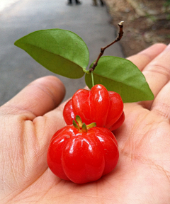 湘依都采集到百花争艳