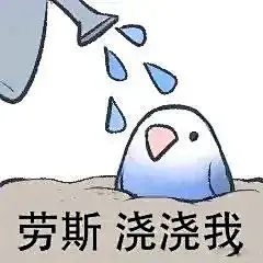 【表情包】发点色禽图片（70张）