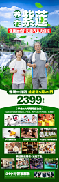 养在紫莲