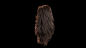 femaleHair, Obaida Hamdi : I was just having little fun with Xgen and arnold.