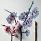 植物笔记。一花盛开一世界。丨来自插画艺术家Noel Badges Pugh