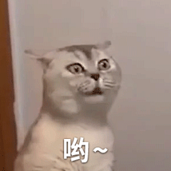 诗语萱采集到有趣的灵魂