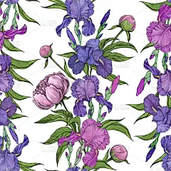 牡丹,四方连续纹样,鸢尾,华丽的,卷着的,浪漫,壁纸,花,弯曲,排列